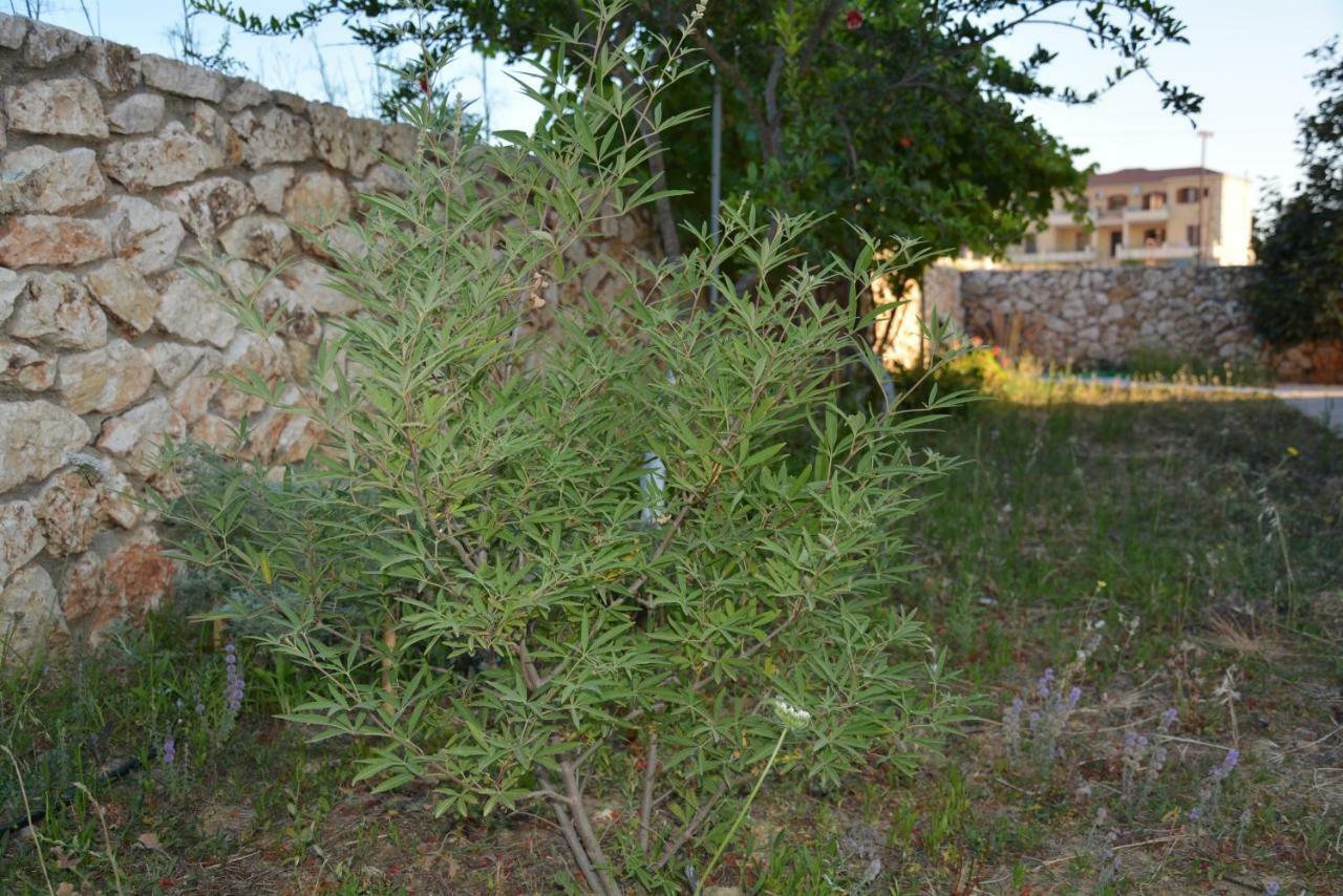 Lotus Sea View Studio Apartment 2 Lixouri Exterior foto